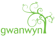 Gwanwyn - Celebrating Creativity in Older Age